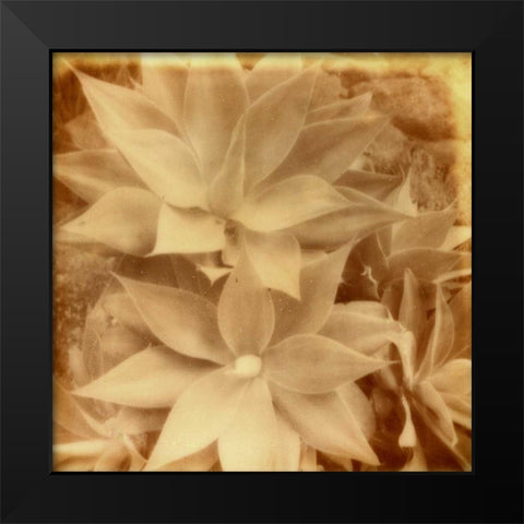 Halia Aloha IV Black Modern Wood Framed Art Print by Johnson, Jason