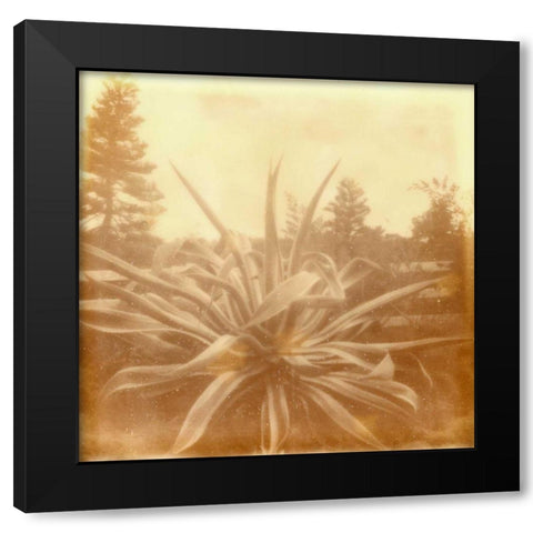 Halia Aloha IX Black Modern Wood Framed Art Print by Johnson, Jason