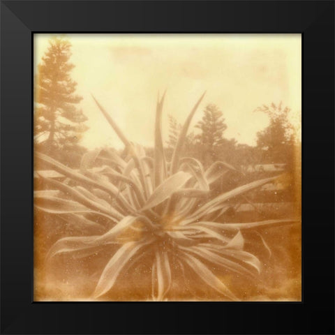 Halia Aloha IX Black Modern Wood Framed Art Print by Johnson, Jason