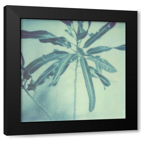 Color Shade VIII Black Modern Wood Framed Art Print with Double Matting by Johnson, Jason