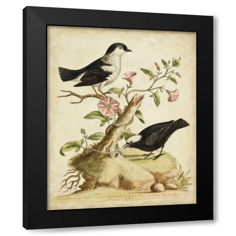 Natural Habitat I Black Modern Wood Framed Art Print with Double Matting by Edwards, George