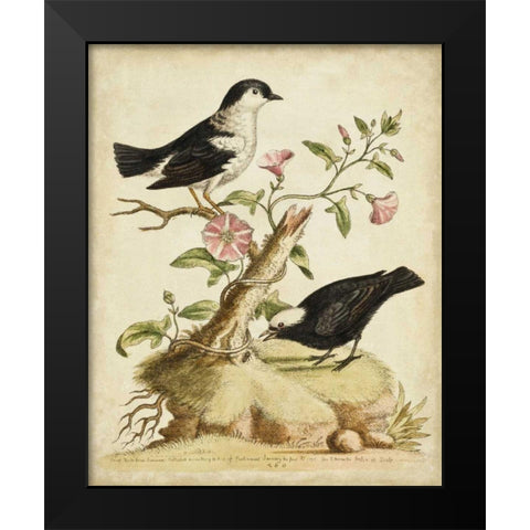 Natural Habitat I Black Modern Wood Framed Art Print by Edwards, George