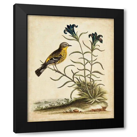 UA CH Natural Habitat III Black Modern Wood Framed Art Print by Edwards, George