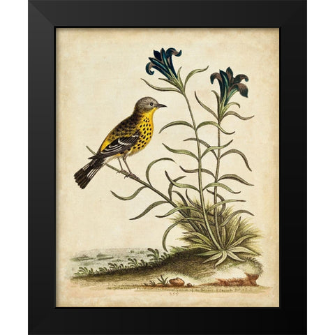 UA CH Natural Habitat III Black Modern Wood Framed Art Print by Edwards, George