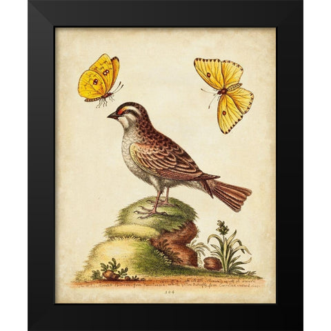 UA CH Natural Habitat IV Black Modern Wood Framed Art Print by Edwards, George