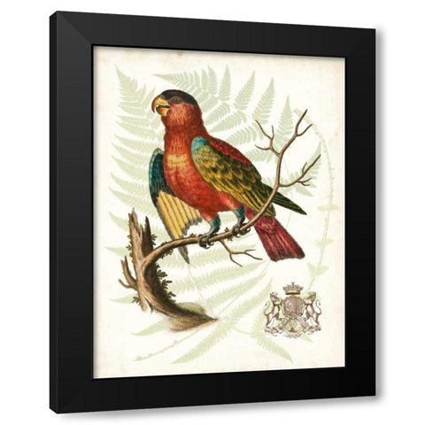 Regal Parrots II Black Modern Wood Framed Art Print by Vision Studio