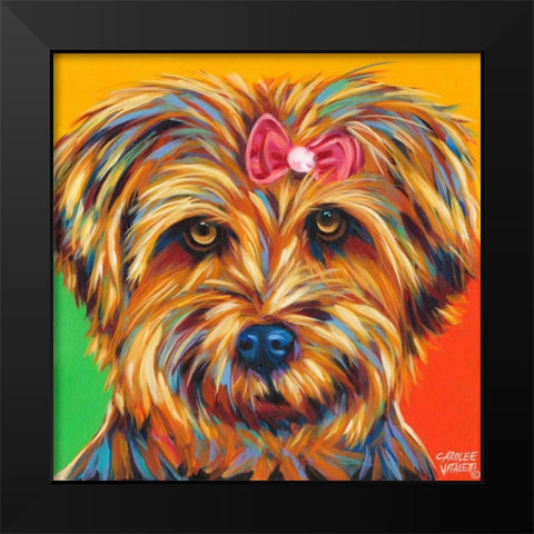 Sweet Yorkie I Black Modern Wood Framed Art Print by Vitaletti, Carolee