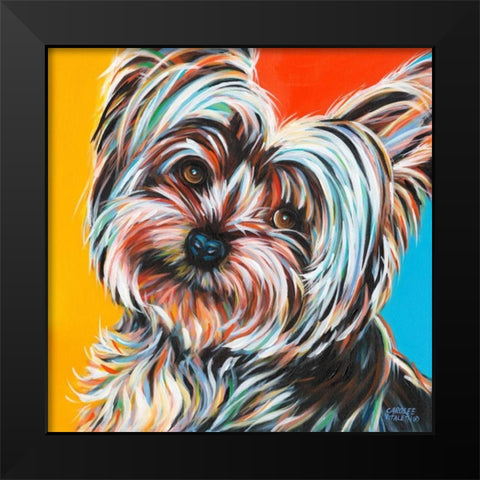 Sweet Yorkie II Black Modern Wood Framed Art Print by Vitaletti, Carolee