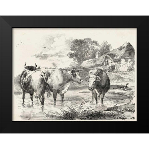 Rural Charms I Black Modern Wood Framed Art Print by Unknown