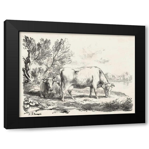 Rural Charms III Black Modern Wood Framed Art Print by Unknown