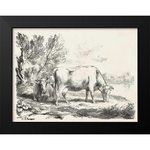 Rural Charms III Black Modern Wood Framed Art Print by Unknown