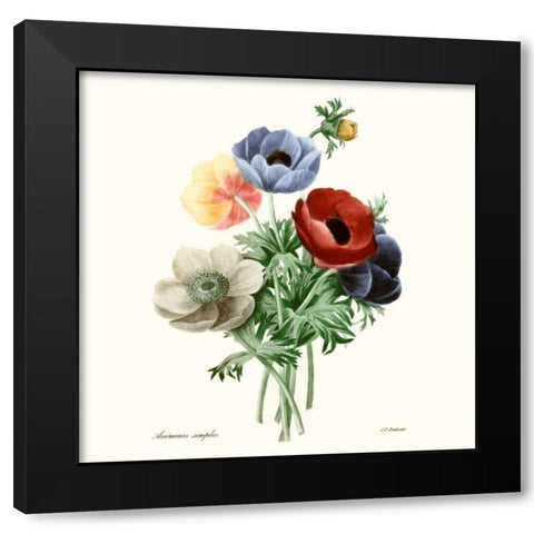 Blushing Bouquet I Black Modern Wood Framed Art Print by Redoute, Pierre