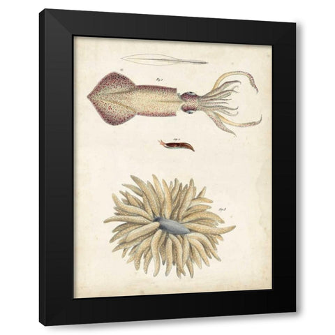 Ocean Curiosities I Black Modern Wood Framed Art Print by Dekay