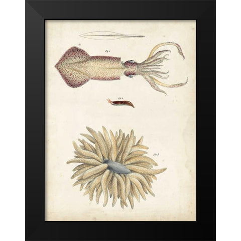 Ocean Curiosities I Black Modern Wood Framed Art Print by Dekay