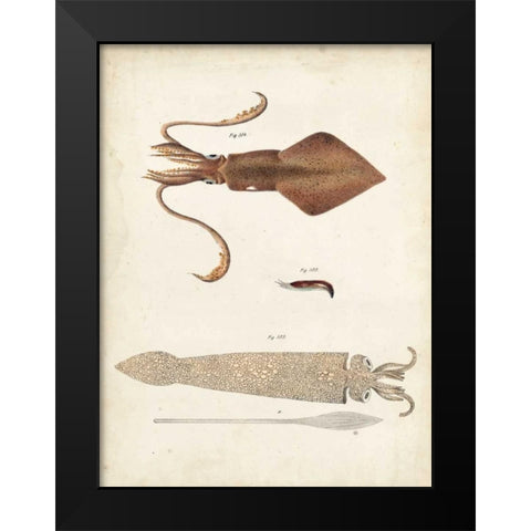 Ocean Curiosities II Black Modern Wood Framed Art Print by Dekay