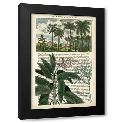 Journal of the Tropics I Black Modern Wood Framed Art Print with Double Matting by Vision Studio