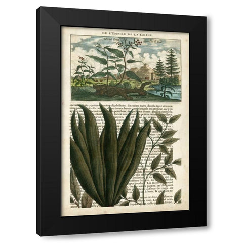 Journal of the Tropics III Black Modern Wood Framed Art Print with Double Matting by Vision Studio