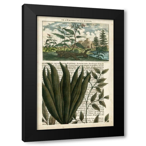 Journal of the Tropics III Black Modern Wood Framed Art Print by Vision Studio