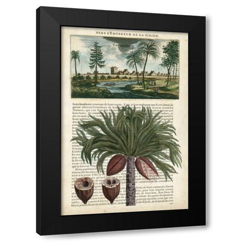Journal of the Tropics IV Black Modern Wood Framed Art Print by Vision Studio