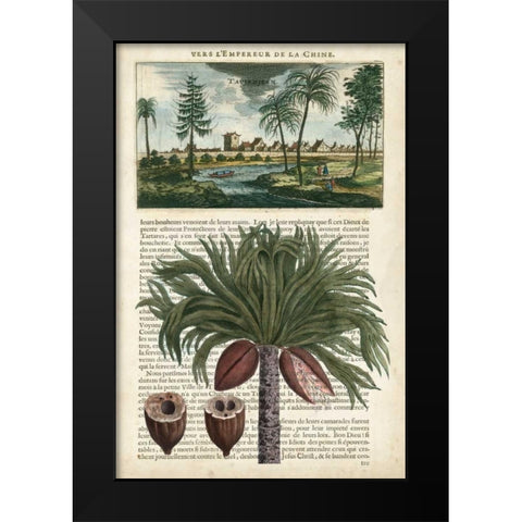 Journal of the Tropics IV Black Modern Wood Framed Art Print by Vision Studio