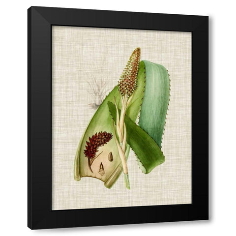 Elegant Tropicals I Black Modern Wood Framed Art Print with Double Matting by Vision Studio