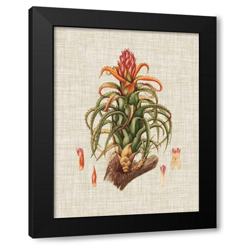 Elegant Tropicals IV Black Modern Wood Framed Art Print by Vision Studio