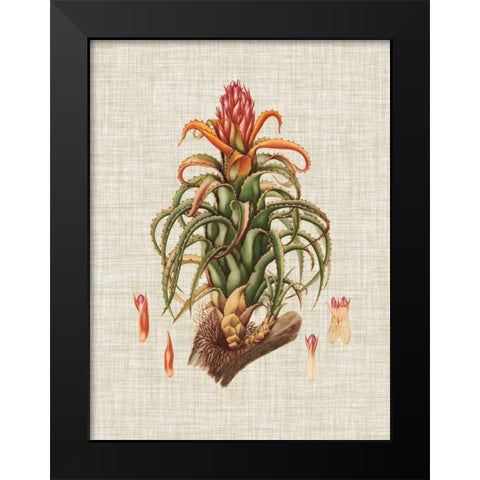 Elegant Tropicals IV Black Modern Wood Framed Art Print by Vision Studio