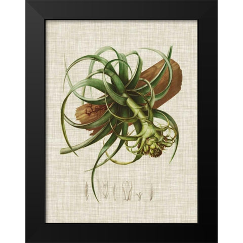 Elegant Tropicals V Black Modern Wood Framed Art Print by Vision Studio