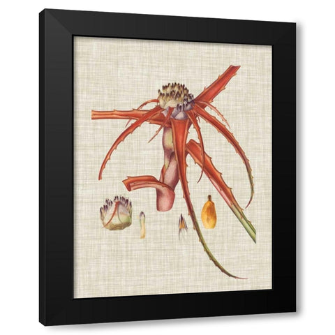 Elegant Tropicals VI Black Modern Wood Framed Art Print by Vision Studio