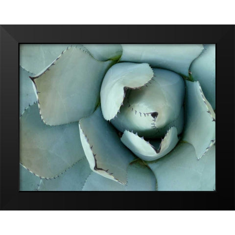 Agave Detail II Black Modern Wood Framed Art Print by Alison Jerry
