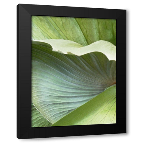 Banana Leaf I Black Modern Wood Framed Art Print by Jerry, Alison