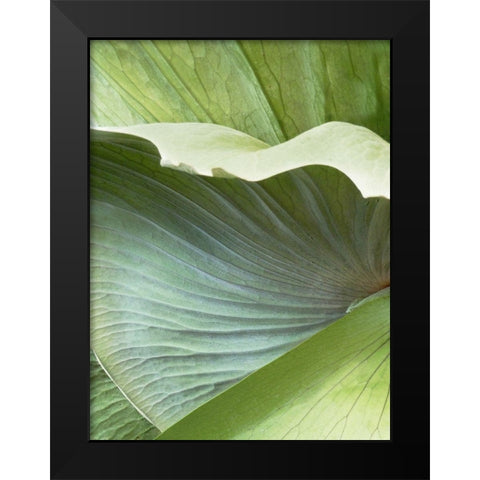 Banana Leaf I Black Modern Wood Framed Art Print by Jerry, Alison
