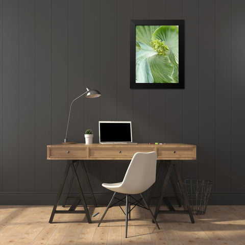 Banana Leaf II Black Modern Wood Framed Art Print by Jerry, Alison