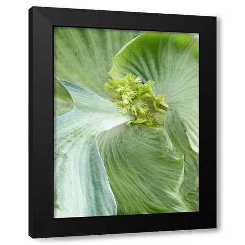 Banana Leaf II Black Modern Wood Framed Art Print by Jerry, Alison