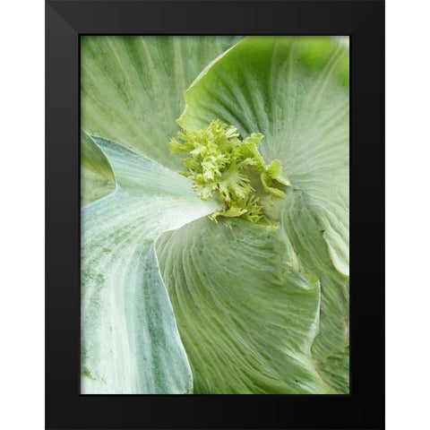 Banana Leaf II Black Modern Wood Framed Art Print by Jerry, Alison