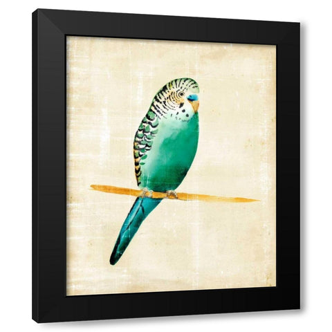 Fanciful Birds II Black Modern Wood Framed Art Print with Double Matting by Zarris, Chariklia