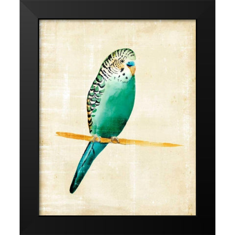 Fanciful Birds II Black Modern Wood Framed Art Print by Zarris, Chariklia