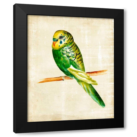 Fanciful Birds III Black Modern Wood Framed Art Print by Zarris, Chariklia