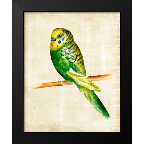 Fanciful Birds III Black Modern Wood Framed Art Print by Zarris, Chariklia