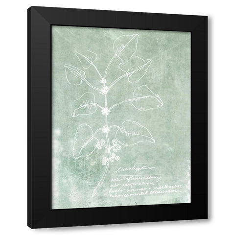 Essential Botanicals I Black Modern Wood Framed Art Print by Fagalde, Jarman