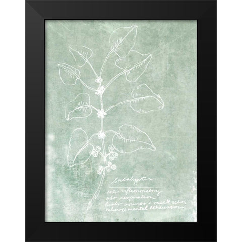 Essential Botanicals I Black Modern Wood Framed Art Print by Fagalde, Jarman