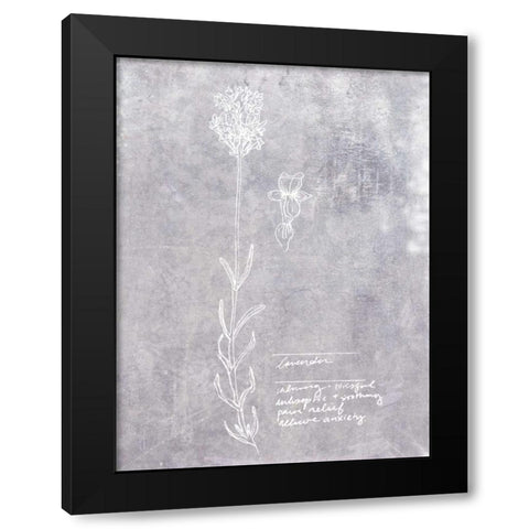 Essential Botanicals II Black Modern Wood Framed Art Print by Fagalde, Jarman