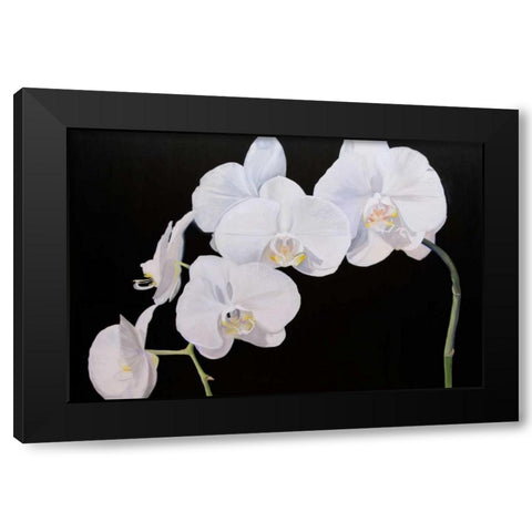 Dramatic Orchids I Black Modern Wood Framed Art Print by Iafrate, Sandra