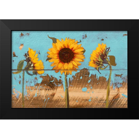 Sunflowers on Wood IV Black Modern Wood Framed Art Print by Iafrate, Sandra