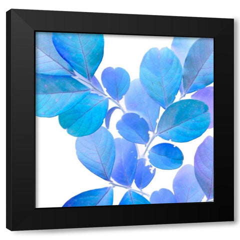 Xray Leaves I Black Modern Wood Framed Art Print with Double Matting by Vision Studio