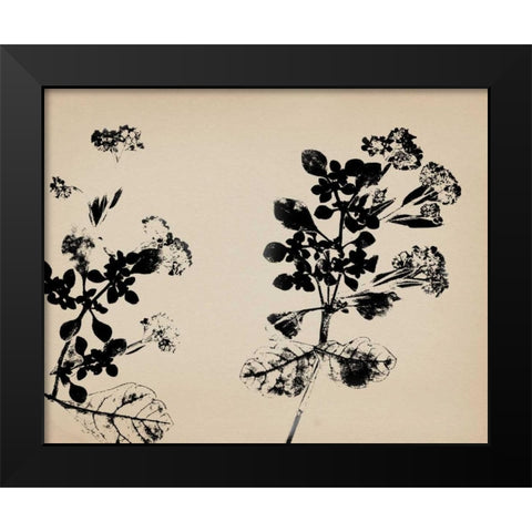 Beauty of a Friend I Black Modern Wood Framed Art Print by Jorgensen, Jennifer