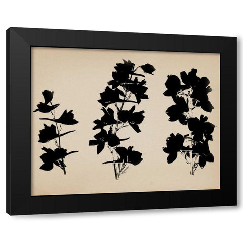 Beauty of a Friend II Black Modern Wood Framed Art Print with Double Matting by Jorgensen, Jennifer