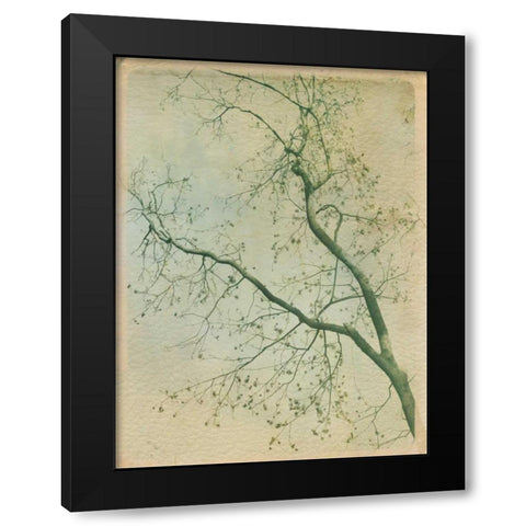 Leave it Behind II Black Modern Wood Framed Art Print with Double Matting by Jorgensen, Jennifer