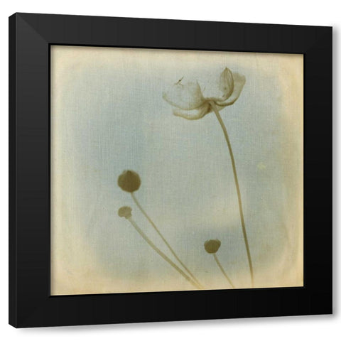 Faded Away I Black Modern Wood Framed Art Print with Double Matting by Jorgensen, Jennifer