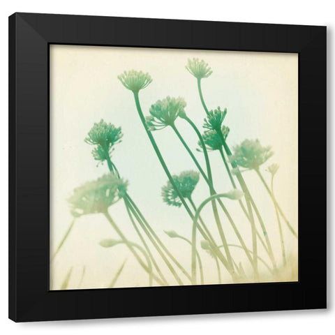 Faded Away II Black Modern Wood Framed Art Print by Jorgensen, Jennifer